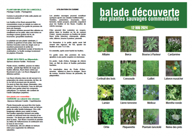 Ballade découverte des plantes sauvages - Le CANE 91